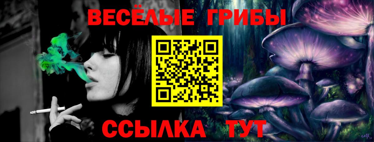 Москва  Галлюциногенные грибы мухоморы  Псилоцибиновые грибы ЛСД  закладка  Вход с VPN 